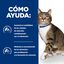 3 kg Hill's Prescription Diet Urinary Care s/d Pollo pienso para gatos, , large indicador imagen numero 4